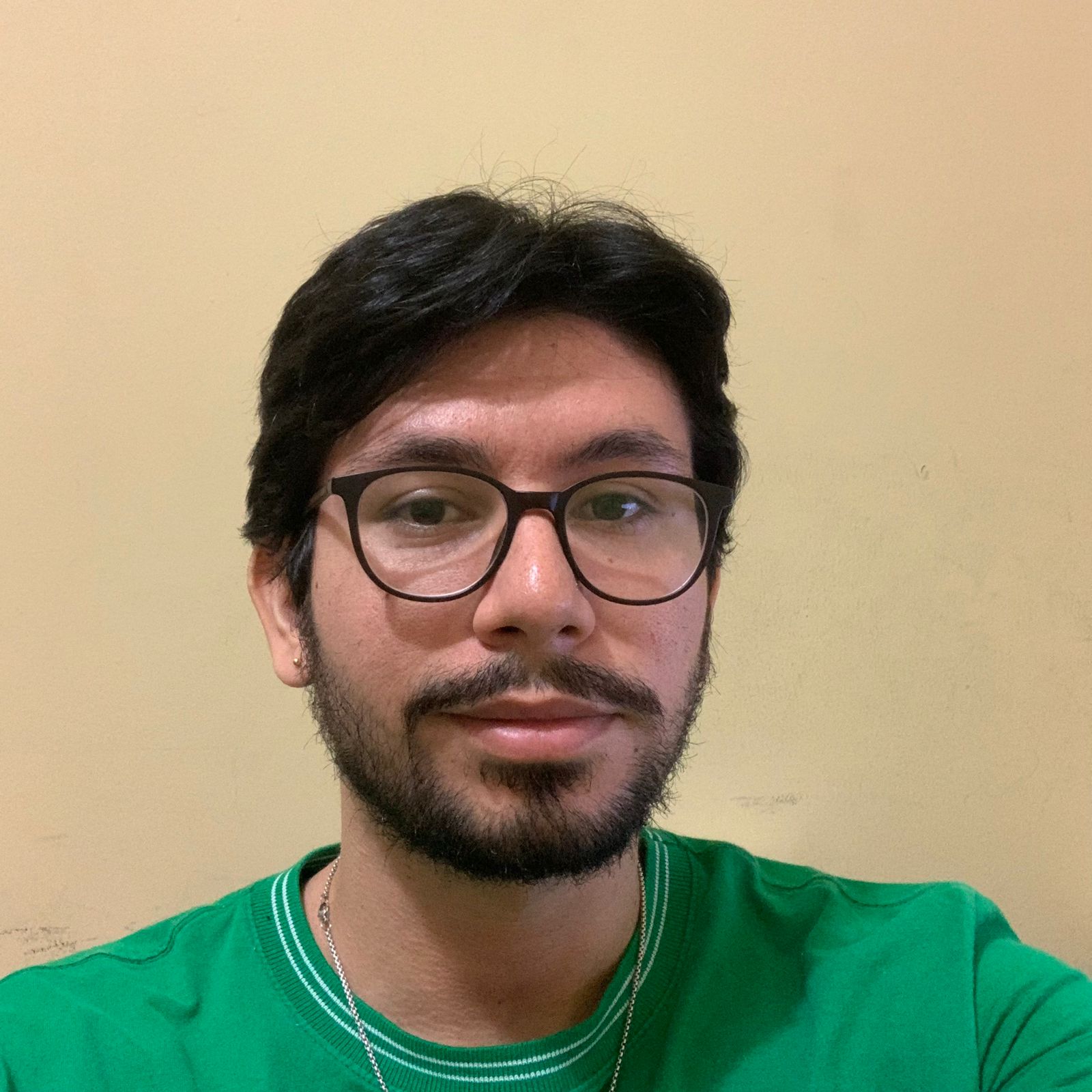 Andrei de Souza Freitas