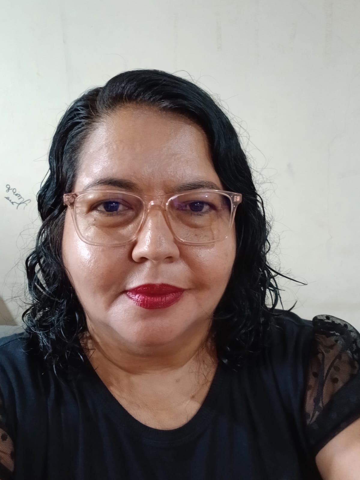 Prof.ª MsC. Idaléia Cruz Silva