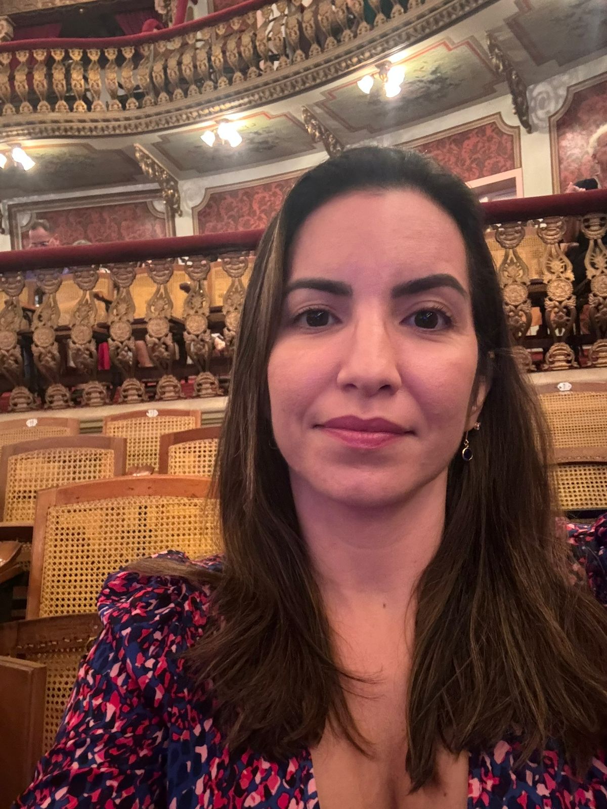 Prof.ª MsC. Lorena Brito de Castro